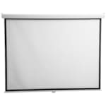 ELECTRIC SCREEN ( SYN MOTOR, WITH REMOTE CONTROL) 300*300