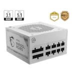 Alimentation MSI MAG A850GL PCIe5 Blanc