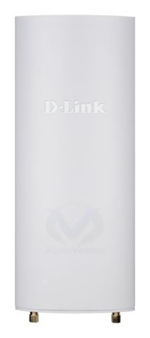 Points d’accès Extérieurs Wi-Fi AC1300 Wave 2 Gérés dans le Cloud DBA‑3620P