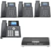 Pack de Téléphonie IP Grandstream UCM6202