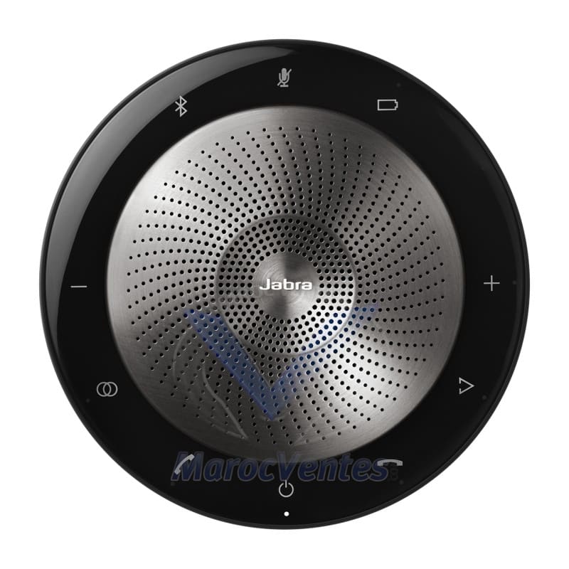 Haut-parleur SPEAK 710 MS 7710-309