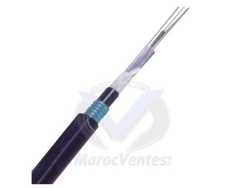CABLE FO 12 BRINS SM OS2 9/125 ARMEE LINXCOM LXFOCASLTSTA12CSM2PE