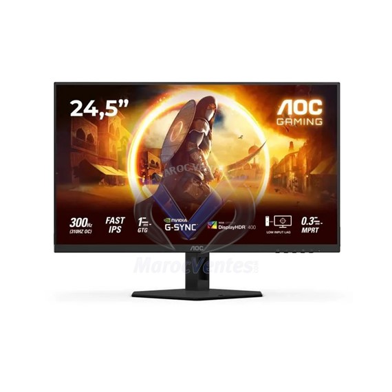 MONITEUR 25G4SRE 24,5
