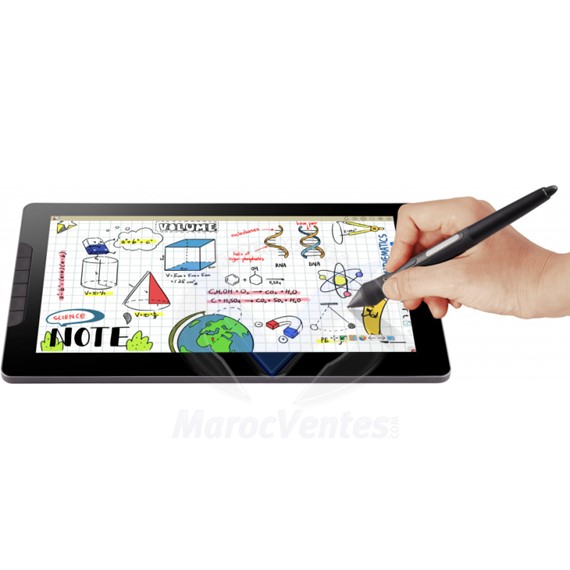 ViewBoard Tablette Graphique 13" ID1330