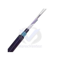 CABLE  FO 24 B SM OS2 9/125 G.652.D ARMEE LINXCOM