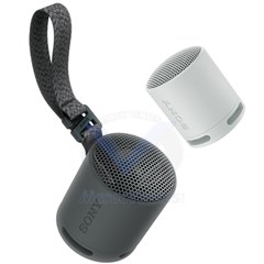 ENCEINTE PORTABLE Boîtier Compact Son Puissant et Clair SRS-XB100