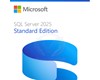 SQL Server Standard 2025 Commercial Perpetual